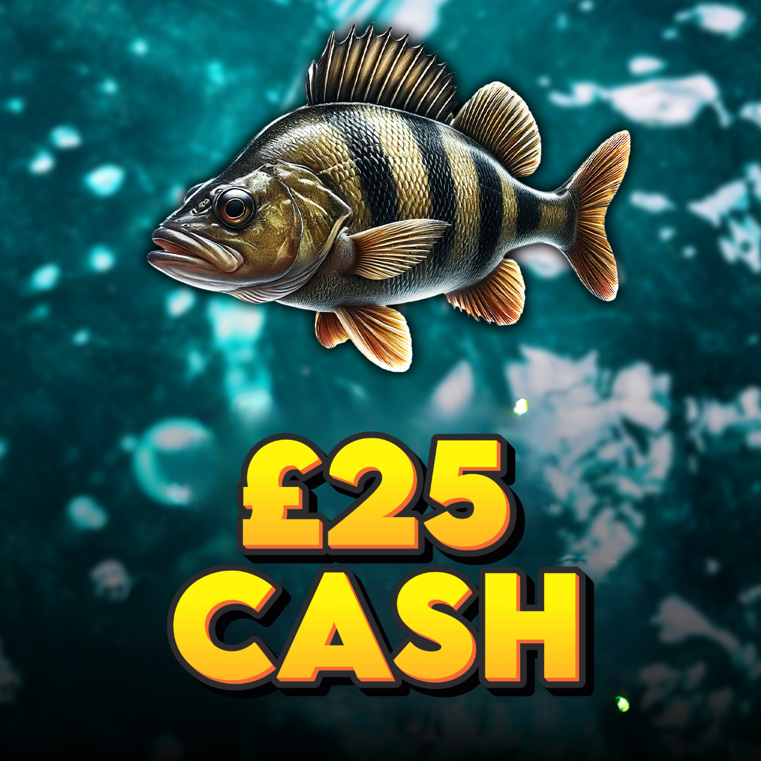 Perch - £25 Cash (Doubled If Last In Set)